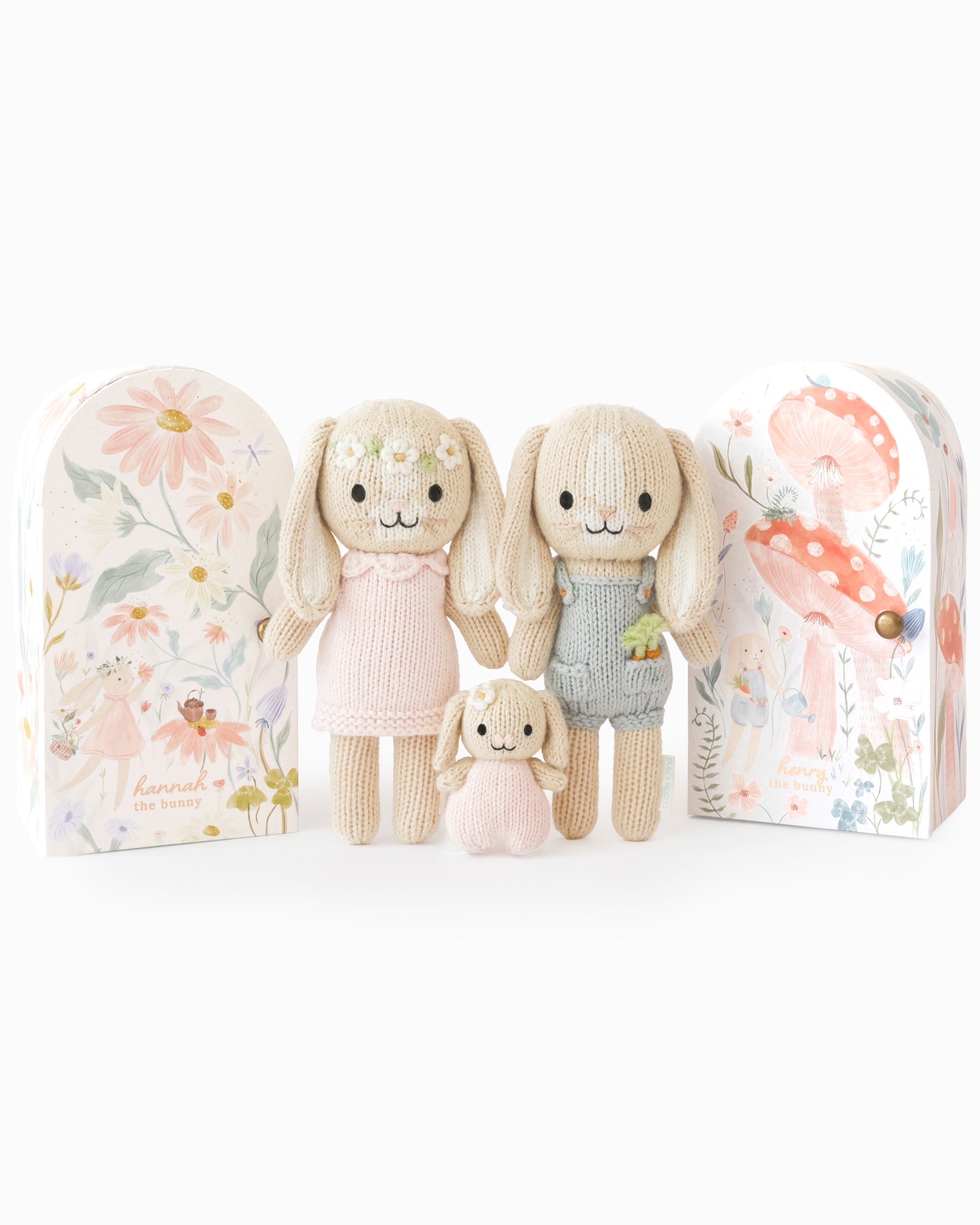 Tiny bunny family