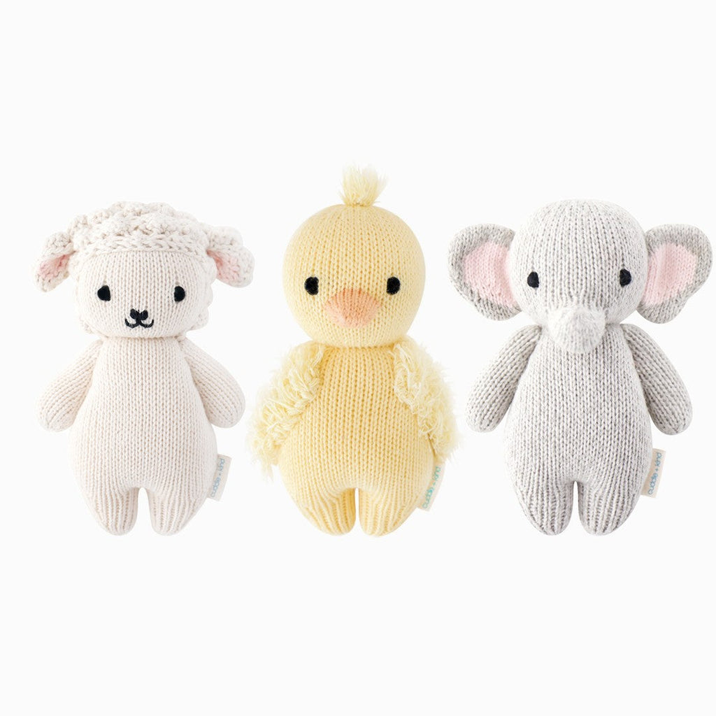 Newborn Collector's Kit