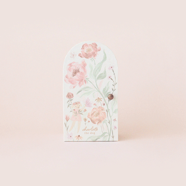 Charlotte bundle