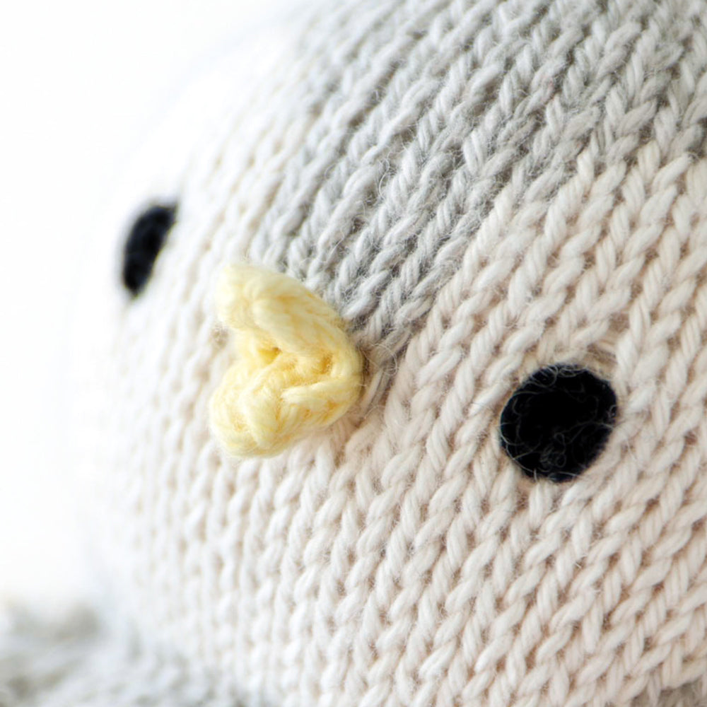 Baby penguin