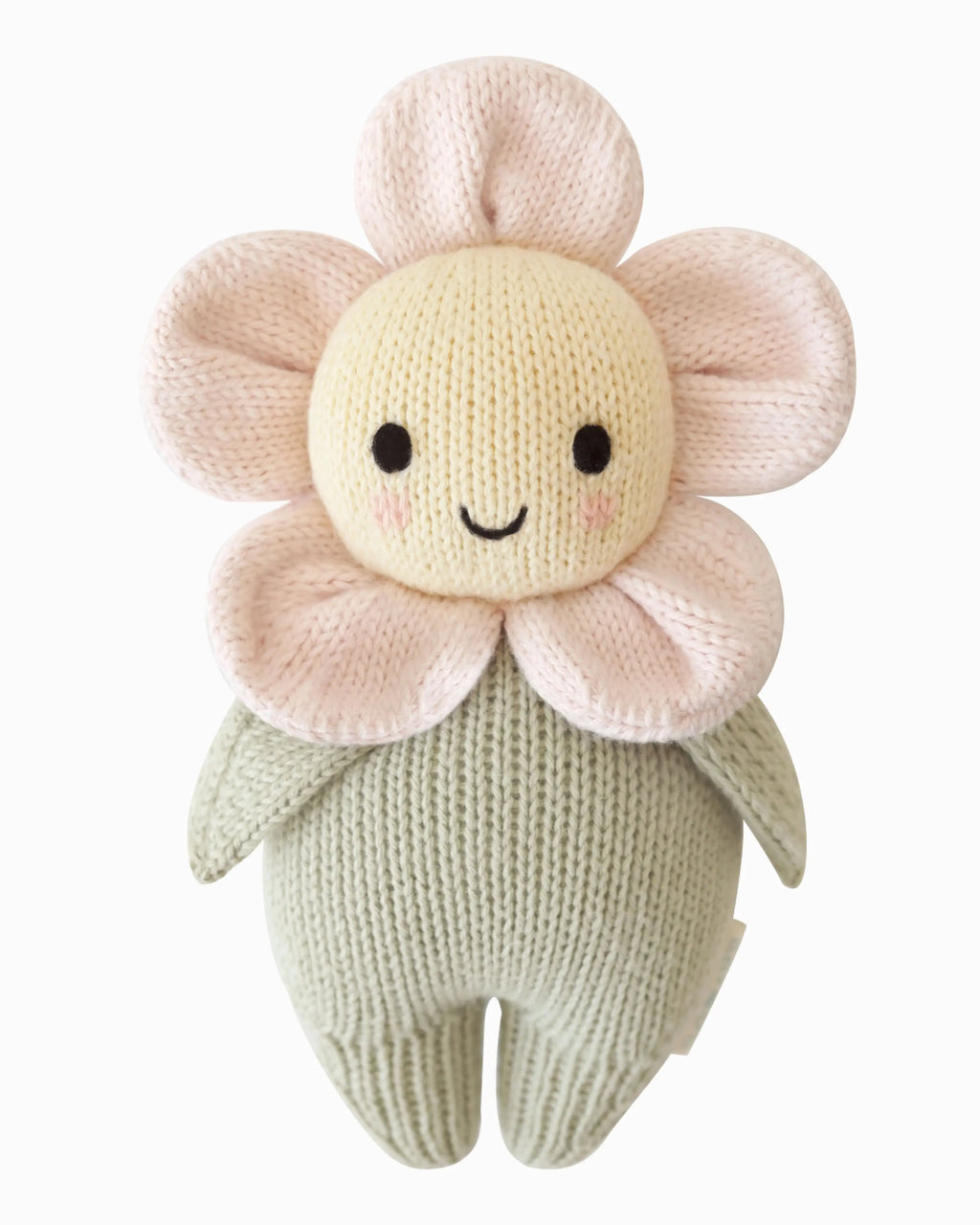 Baby daisy bundle (blush)