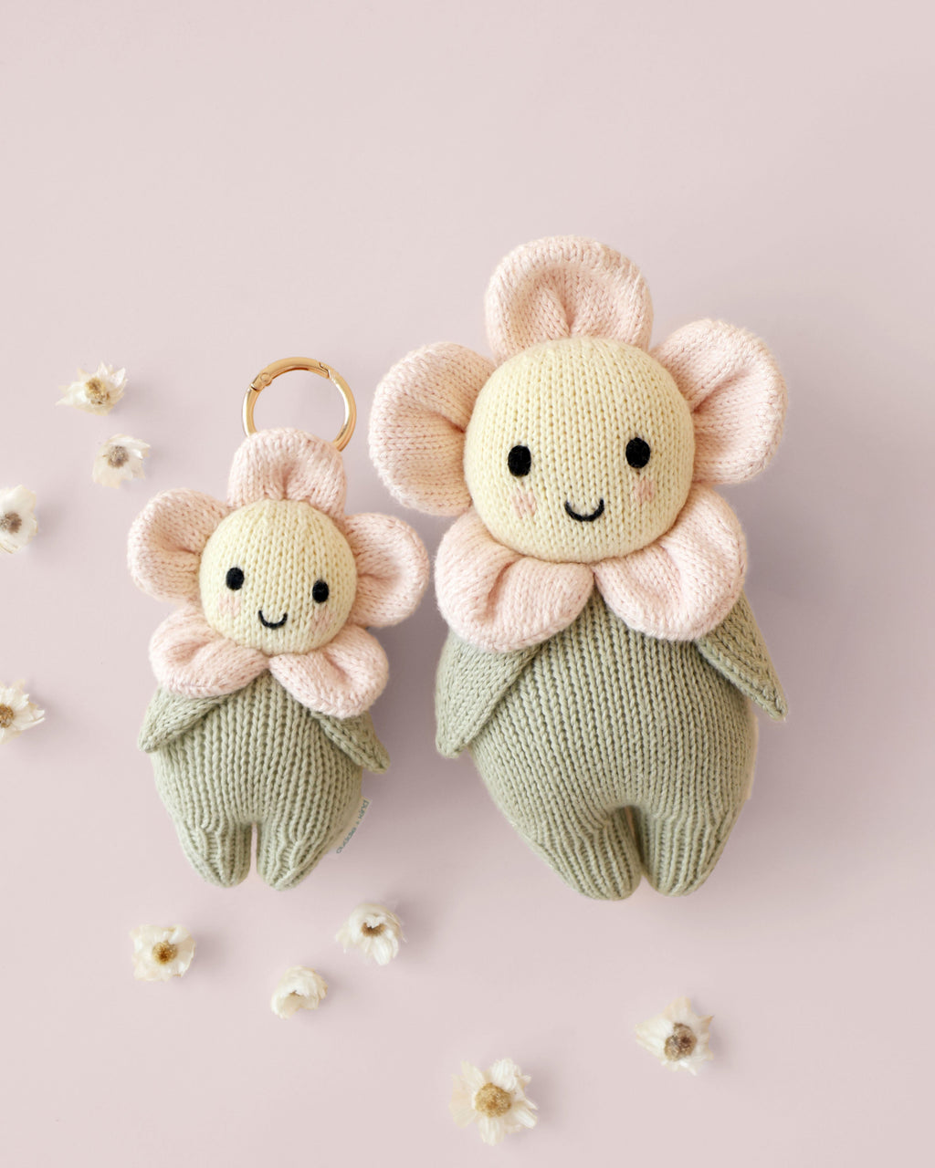Baby daisy bundle (blush)