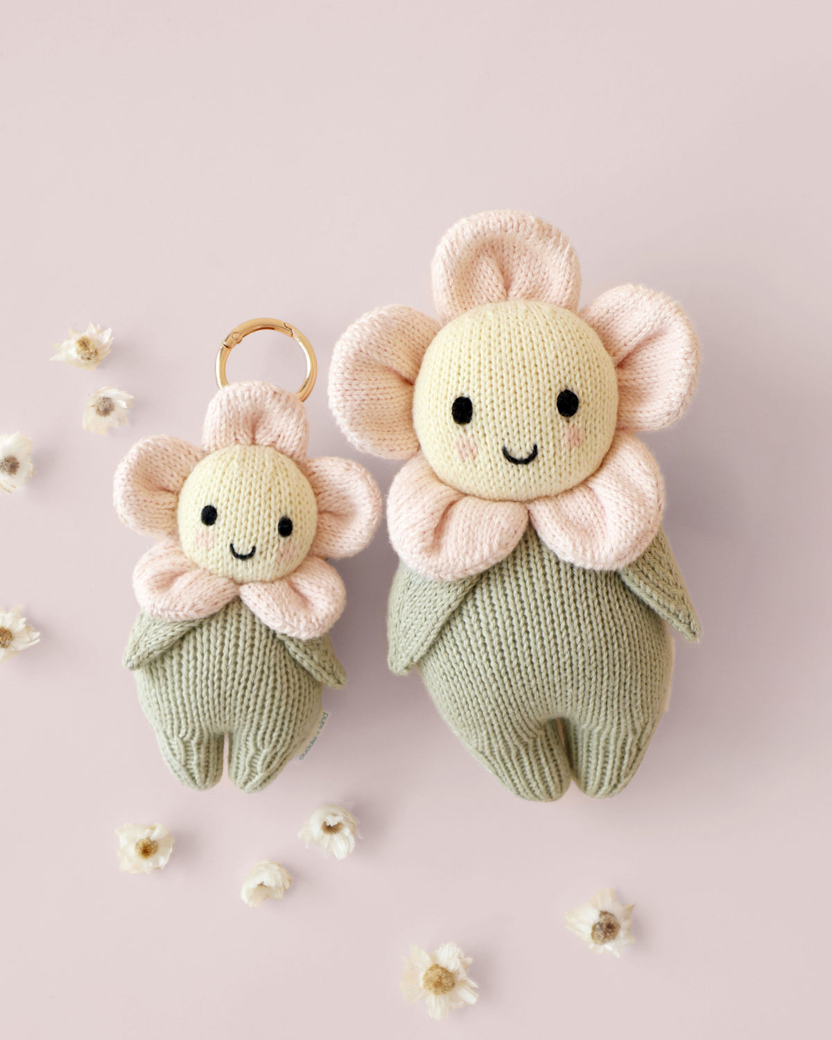 Baby daisy bundle (blush)
