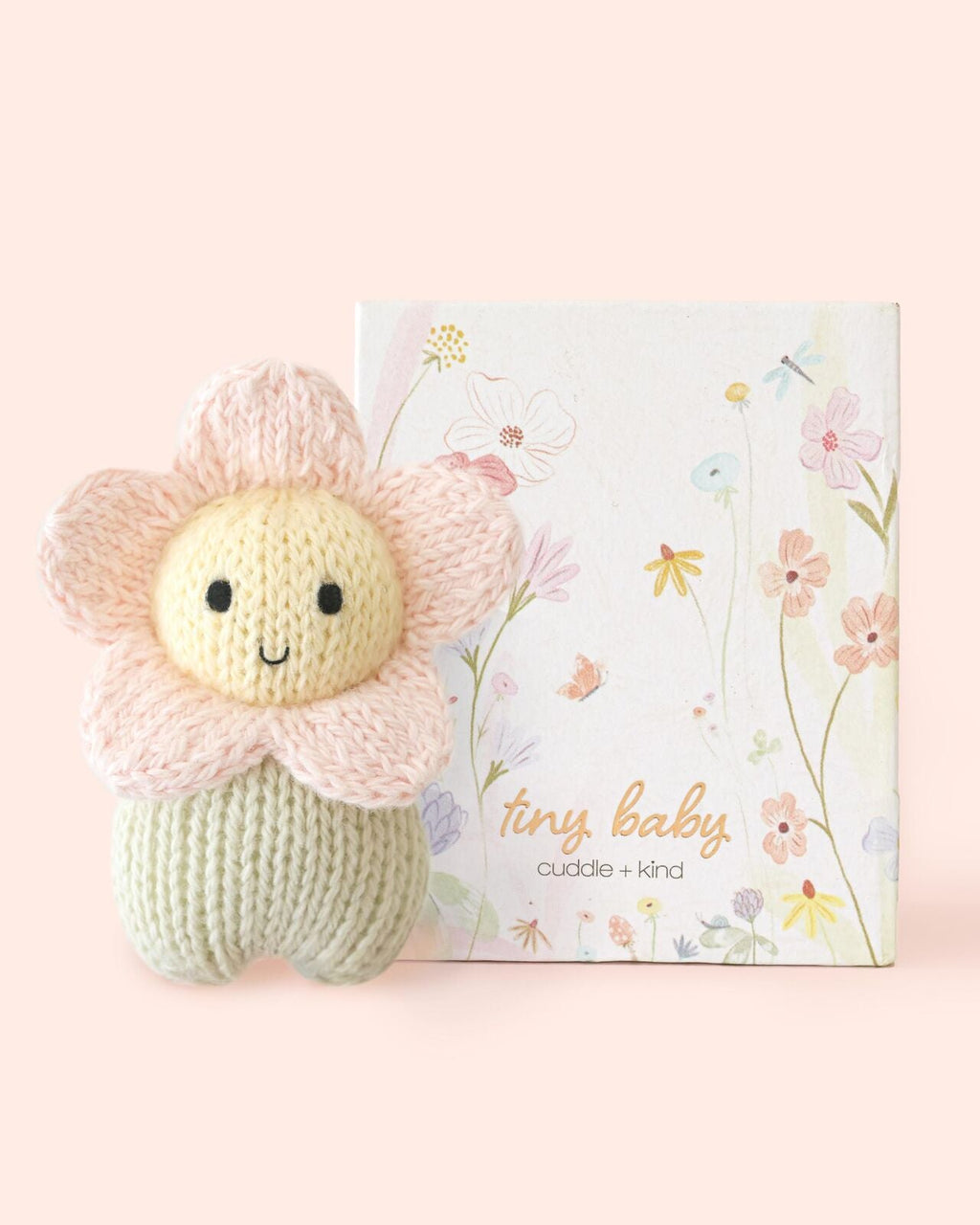 ‍Tiny baby daisy